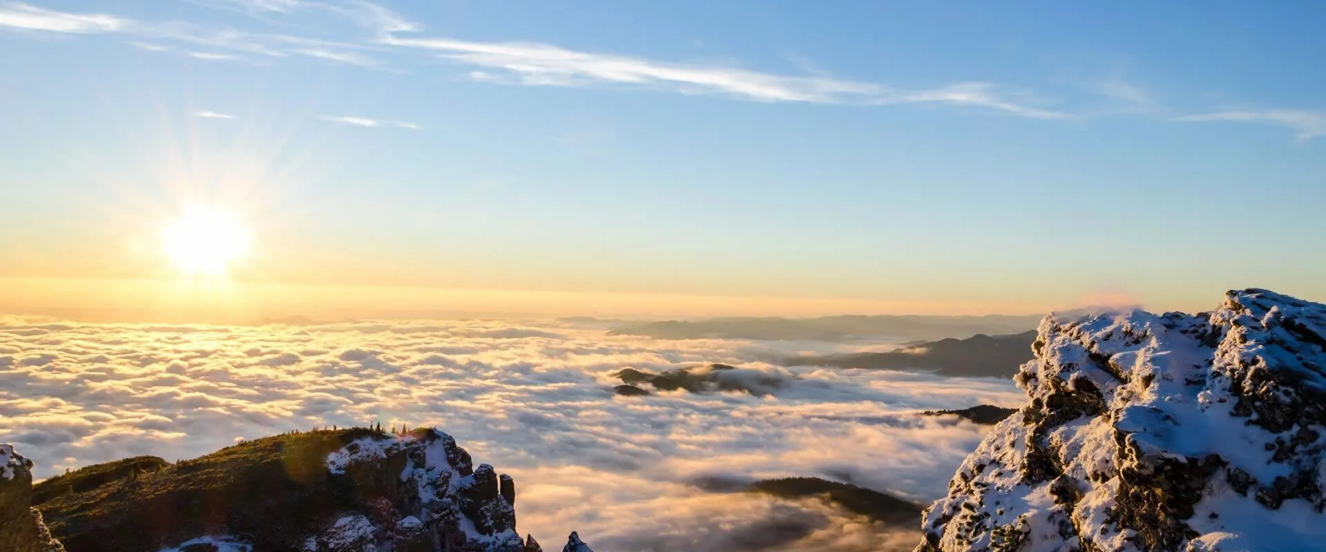 우리의 공동 노력은 만족스러운 결과를 가져올 것입니다.
