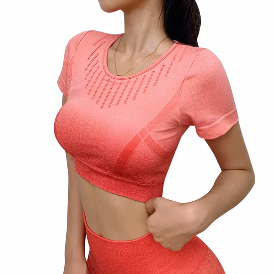 Ribbed Seamless Color Changed Sports Bra Women′s Workout Gym Clothing Crop Top Short Sleeve with Pad
